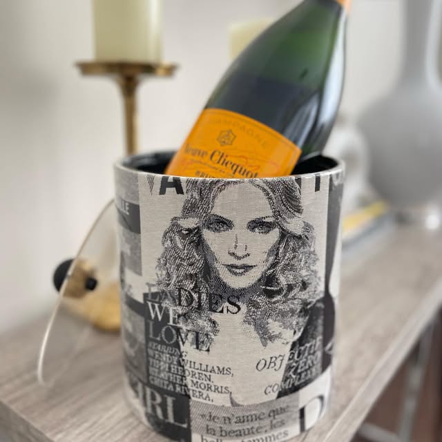 Illustrated ice bucket styled with a bottle